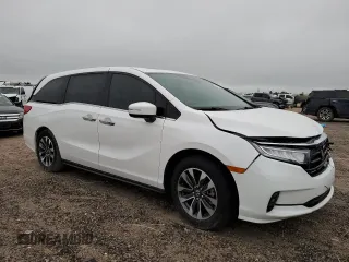 2024 Honda Odyssey EX-L with VIN 5FNRL6H66RB069509, listed as a Copart auction lot 56155715 with 3,341 mi miles and Salvage Title. Bid and sale history available at DreamBid. Image 4.
