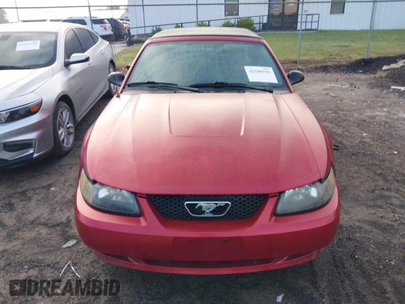 2004 Ford Mustang Deluxe with VIN 1FAFP44604F212319, listed as a IAAI auction lot 42100591 with 191,992 mi miles. Bid and sale history available at carsss.com. Image 6.