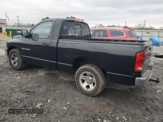 2002 Dodge 1500 with VIN 1D7HA16N02J236188, listed as a Copart auction lot 46077995 with 156,493 mi miles and Salvage title. Bid and sale history available at DreamBid. Image 2.