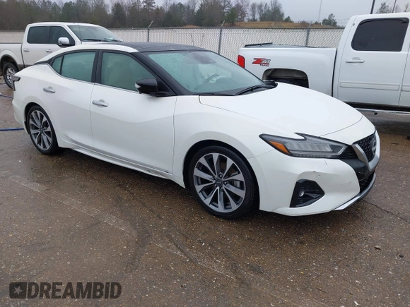 2023 Nissan Maxima Platinum с VIN 1N4AA6FV4PC513922, выставлен на аукционе IAAI как лот 41308547 с пробегом 13 670 миль миль и . История ставок и продаж доступна на DreamBid. Изображение 1.