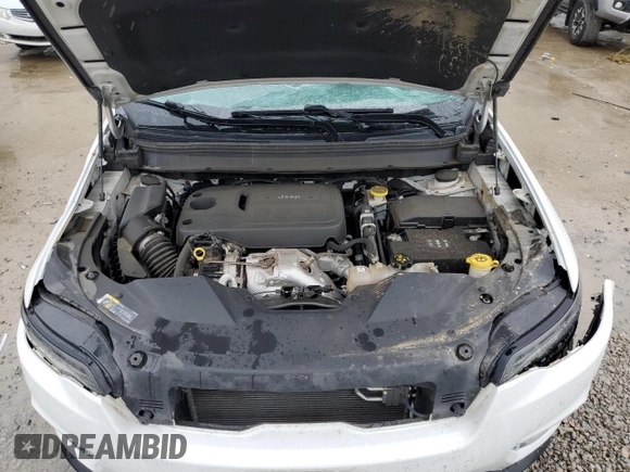 2020 Jeep Cherokee Limited with VIN 1C4PJMDN1LD546120, listed as a Copart auction lot 55410945 with Not provided miles and Salvage title. Bid and sale history available at DreamBid. Image 12.