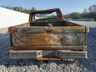 1996 Ford F-150 z VIN 1FTEX15N8TKA18735, wystawiony jako Copart lot #52289615 z przebiegiem Nie podano mil oraz Nie do naprawy • Non repairable. Historia ofert i sprzedaży dostępna na DreamBid. Obrazek 6.