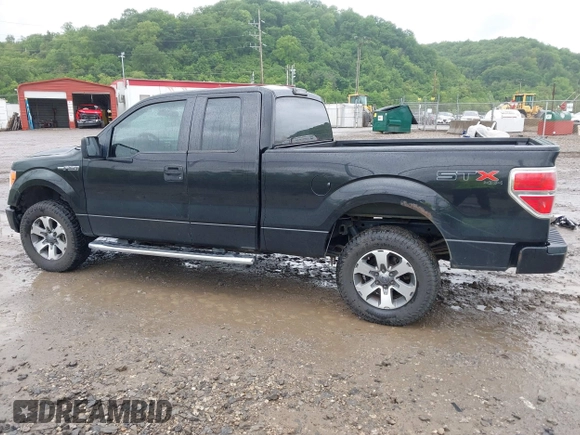 2013 Ford F-150 XL with VIN 1FTFX1EF7DFB34130, listed as a IAAI auction lot 42340765 with 266,185 mi miles and . Bid and sale history available at DreamBid. Image 15.