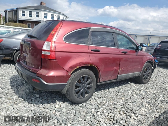 2009 Honda CR-V LX with VIN 5J6RE48329L030895, listed as a Copart auction lot 54307595 with 243,617 mi miles and Salvage Title. Bid and sale history available at carsss.com. Image 3.