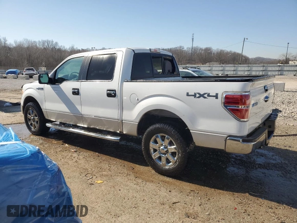2013 Ford F-150 XL with VIN 1FTFW1EF0DFA71889, listed as a Copart auction lot 47989605 with 282,091 mi miles and Salvage Title. Bid and sale history available at carsss.com. Image 2.