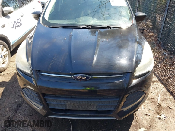 2014 Ford Escape SE with VIN 1FMCU0GXXEUE45586, listed as a IAAI auction lot 41813850 with 179,701 mi miles. Bid and sale history available at carsss.com. Image 6.