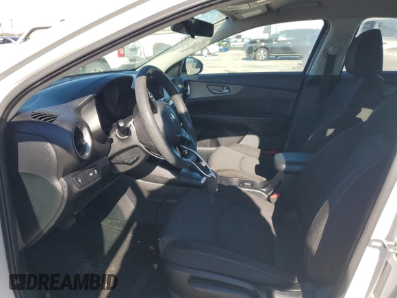 2019 Kia Forte LXS with VIN 3KPF24AD3KE031234, listed as a Copart auction lot 46749625 with 135,828 mi miles and Salvage Title. Bid and sale history available at carsss.com. Image 7.