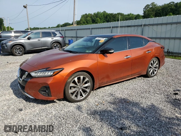 2020 Nissan Maxima Platinum with VIN 1N4AA6FV7LC365422, listed as a Copart auction lot 54913205 with 81,000 mi miles and Salvage title. Bid and sale history available at DreamBid. Image 1.