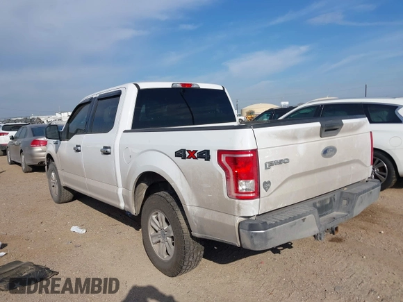 2017 Ford F-150 XL with VIN 1FTEW1EG7HFA12221, listed as a IAAI auction lot 41619127 with 241,779 mi miles. Bid and sale history available at carsss.com. Image 15.