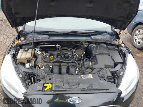 2016 Ford Focus SE with VIN 1FADP3F23GL280843, listed as a IAAI auction lot 41917538 with 125,392 mi miles. Bid and sale history available at carsss.com. Image 10.