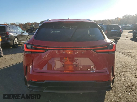 2024 Lexus NX with VIN 2T2AGCEZ5RC050948, listed as a Copart auction lot 76802244 with 10,263 mi miles and Salvage Title. Bid and sale history available at carsss.com. Image 6.