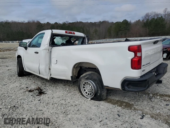 2020 Chevrolet Silverado 1500 Work Truck with VIN 3GCNWAEF5LG146627, listed as a Copart auction lot 45207925 with Not Provided miles and Salvage Title. Bid and sale history available at carsss.com. Image 2.