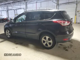 2013 Ford Escape SE with VIN 1FMCU0GXXDUB65505, listed as a Copart auction lot 46140355 with 256,902 mi miles and Salvage title. Bid and sale history available at DreamBid. Image 2.