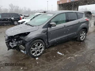 2013 Ford Escape SEL with VIN 1FMCU0H94DUA02476, listed as a Copart auction lot 48042265 with 118,732 mi miles and Salvage Title. Bid and sale history available at carsss.com. Image 1.