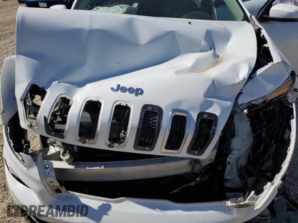 2017 Jeep Cherokee Limited with VIN 1C4PJMDS2HW562845, listed as a Copart auction lot 55486065 with 156,775 mi miles and Salvage Title. Bid and sale history available at carsss.com. Image 12.