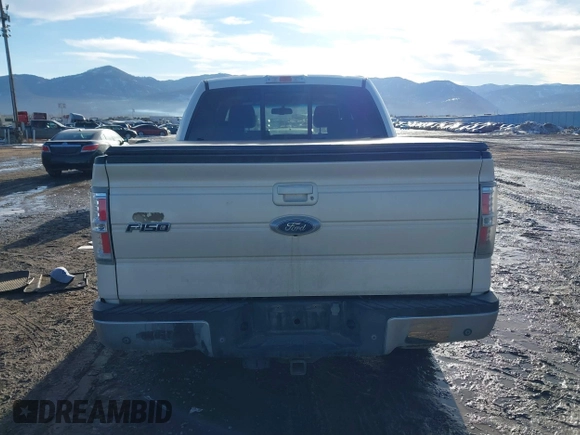 2009 Ford F-150 XL with VIN 1FTPW14V29FA77696, listed as a IAAI auction lot 41680153 with 105,527 mi miles. Bid and sale history available at carsss.com. Image 16.