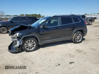 2019 Jeep Cherokee Latitude Plus with VIN 1C4PJLLB4KD202281, listed as a Copart auction lot 48633225 with 153,366 mi miles and Salvage Title. Bid and sale history available at DreamBid. Image 1.