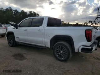 2020 GMC Sierra 1500 AT4 with VIN 1GTP9EEL6LZ138243, listed as a Copart auction lot 79305544 with 20,162 mi miles and Salvage Title. Bid and sale history available at carsss.com. Image 2.