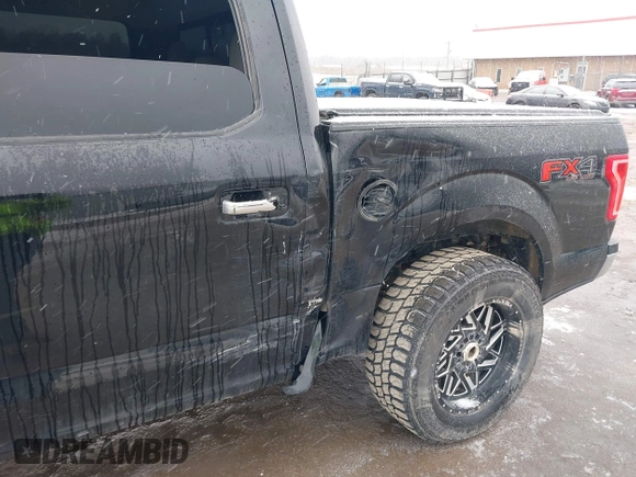 2016 Ford F-150 XLT with VIN 1FTEW1EPXGFA82102, listed as a IAAI auction lot 41560313 with 152,809 mi miles. Bid and sale history available at carsss.com. Image 6.
