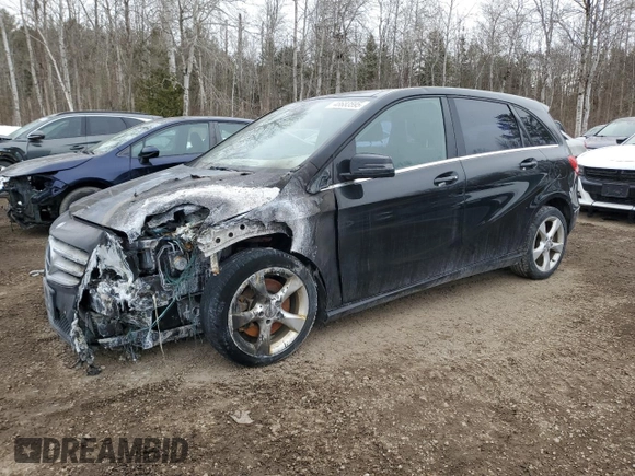 2014 Mercedes-Benz B 250 Sports Tourer with VIN WDDMH4EB9EJ187676, listed as a Copart auction lot 48683595 with Not Provided miles and Non Repairable. Bid and sale history available at DreamBid. Image 1.