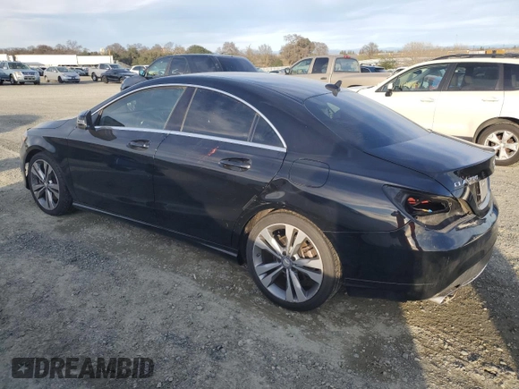 2014 Mercedes-Benz CLA 250 with VIN WDDSJ4EB0EN123238, listed as a Copart auction lot 46324725 with 189,010 mi miles and Salvage title. Bid and sale history available at DreamBid. Image 2.