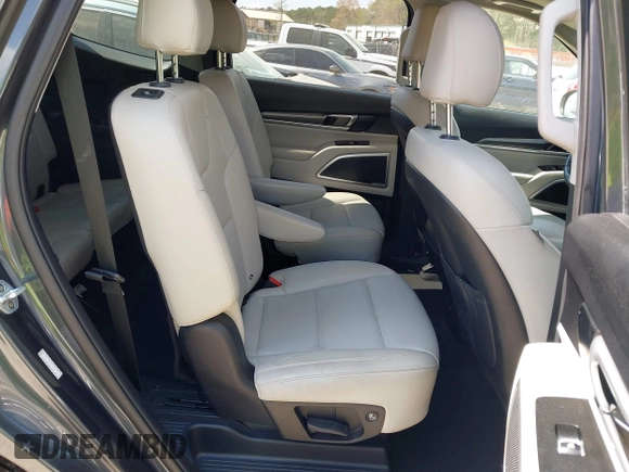 2020 Kia Telluride S with VIN 5XYP64HC4LG048473, listed as a IAAI auction lot 41901438 with 125,089 mi miles and . Bid and sale history available at DreamBid. Image 8.