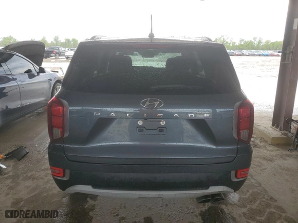 2020 Hyundai Palisade SEL with VIN KM8R44HE1LU109367, listed as a Copart auction lot 51120275 with 44,103 mi miles and Salvage Title. Bid and sale history available at carsss.com. Image 6.