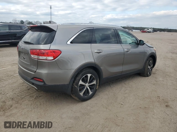 2017 Kia Sorento EX with VIN 5XYPH4A56HG222976, listed as a Copart auction lot 44012195 with 141,932 mi miles and Salvage title. Bid and sale history available at DreamBid. Image 3.