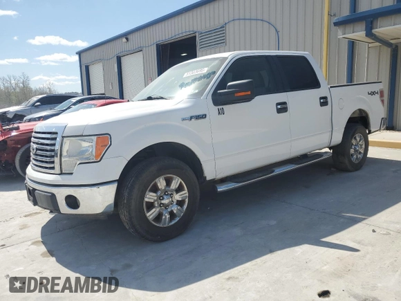 2010 Ford F-150 XL with VIN 1FTFW1EV9AFA76530, listed as a Copart auction lot 51303695 with 261,542 mi miles and Salvage Title. Bid and sale history available at DreamBid. Image 1.
