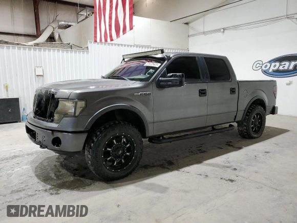 2010 Ford F-150 XL with VIN 1FTFW1EV5AFA74662, listed as a Copart auction lot 48384295 with 234,570 mi miles and Clean Title. Bid and sale history available at carsss.com. Image 1.