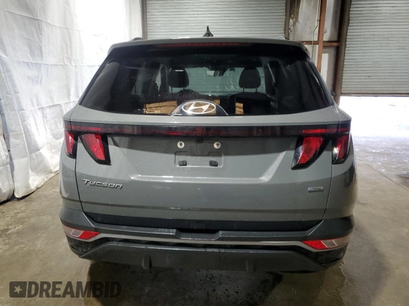 2024 Hyundai Tucson SEL with VIN 5NMJBCDEXRH383691, listed as a Copart auction lot 53918525 with 28,974 mi miles and Clean Title. Bid and sale history available at carsss.com. Image 6.