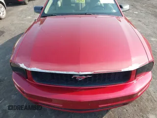 2005 Ford Mustang Deluxe with VIN 1ZVFT80N655177798, listed as a IAAI auction lot 42411831 with 112,236 mi miles and . Bid and sale history available at DreamBid. Image 12.