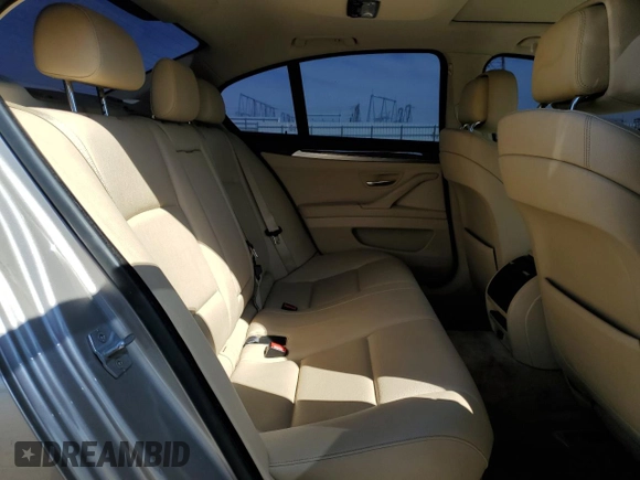 2013 BMW 5 Series 528i with VIN WBAXG5C54DD229520, listed as a Copart auction lot 49254295 with 161,348 mi miles and Salvage Title. Bid and sale history available at carsss.com. Image 10.