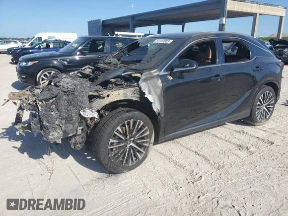 2024 Lexus RX 350 with VIN 2T2BAMBA4RC036050, listed as a Copart auction lot 53133885 with Not provided miles and Non repairable. Bid and sale history available at DreamBid. Image 1.