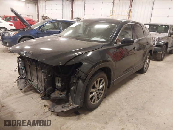 2017 Mazda CX-9 Touring with VIN JM3TCBCY8H0128734, listed as a IAAI auction lot 41256313 with 166,353 mi miles. Bid and sale history available at carsss.com. Image 2.