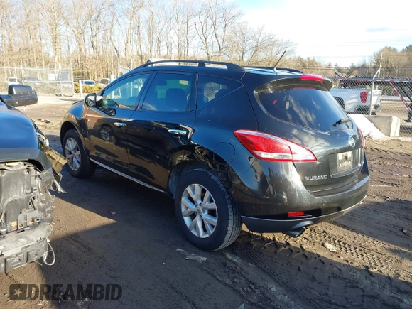 2013 Nissan Murano SV with VIN JN8AZ1MW1DW319025, listed as a IAAI auction lot 41619136 with 137,207 mi miles. Bid and sale history available at carsss.com. Image 3.