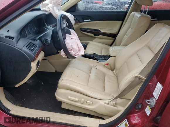 2010 Honda Crosstour EX-L with VIN 5J6TF2H56AL011490, listed as a Copart auction lot 84711604 with Not Provided miles and Non Repairable. Bid and sale history available at carsss.com. Image 7.