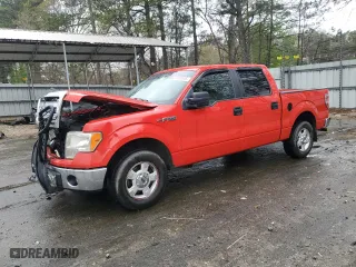2013 Ford F-150 XL with VIN 1FTEW1CM6DFD49787, listed as a Copart auction lot 49399505 with 250,268 mi miles and Salvage Title. Bid and sale history available at carsss.com. Image 1.