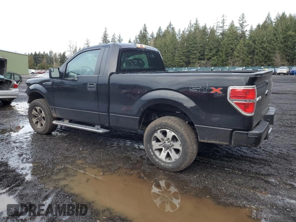 2013 Ford F-150 XL with VIN 1FTMF1EF1DKF32841, listed as a Copart auction lot 43436565 with 64,986 mi miles and Salvage Title. Bid and sale history available at DreamBid. Image 2.