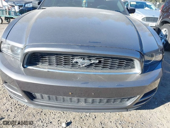 2014 Ford Mustang V6 with VIN 1ZVBP8AM3E5267564, listed as a IAAI auction lot 41559431 with 206,282 mi miles. Bid and sale history available at carsss.com. Image 6.