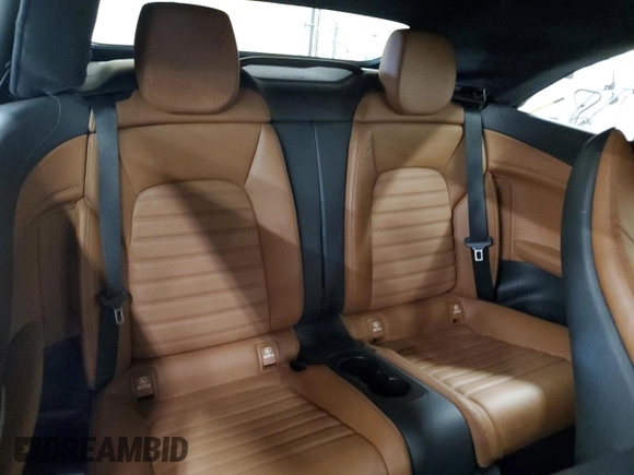 2018 Mercedes-Benz C 43 AMG with VIN WDDWK6EB8JF684169, listed as a Copart auction lot 60110265 with 32,162 mi miles and Salvage title. Bid and sale history available at DreamBid. Image 10.