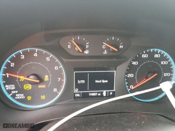 2021 Chevrolet Traverse LS with VIN 1GNERFKWXMJ160216, listed as a Copart auction lot 44909275 with 114,667 mi miles and Salvage Title. Bid and sale history available at carsss.com. Image 9.