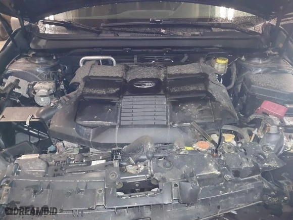2017 Subaru Outback Limited with VIN 4S4BSENCXH3330642, listed as a IAAI auction lot 41735449 with 125,794 mi miles. Bid and sale history available at carsss.com. Image 10.