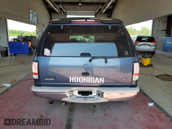 1998 Ford Expedition XLT with VIN 1FMRU17L6WLB43586, listed as a Copart auction lot 64261125 with 172,564 mi miles and Salvage title. Bid and sale history available at DreamBid. Image 6.