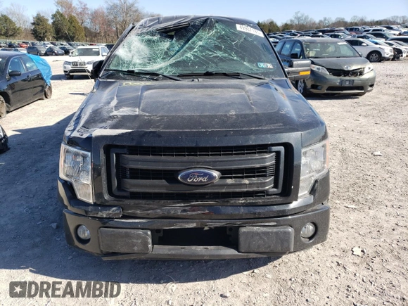 2013 Ford F-150 XL with VIN 1FTFX1CF7DFC08942, listed as a Copart auction lot 49987185 with 113,674 mi miles and Salvage Title. Bid and sale history available at carsss.com. Image 5.
