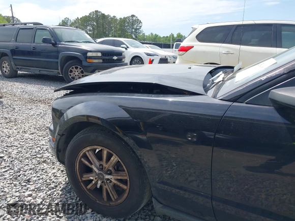 2007 Ford Mustang Deluxe with VIN 1ZVFT80N875226941, listed as a IAAI auction lot 42054190 with 183,155 mi miles. Bid and sale history available at carsss.com. Image 12.