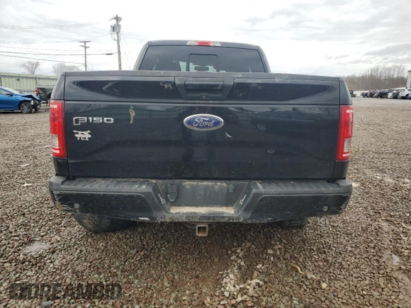 2016 Ford F-150 XLT with VIN 1FTEX1EP1GFD57885, listed as a Copart auction lot 48910695 with 75,884 mi miles and Salvage Title. Bid and sale history available at carsss.com. Image 6.