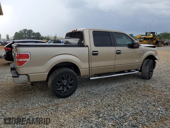 2012 Ford F-150 XL with VIN 1FTFW1ET5CFC30264, listed as a Copart auction lot 55231195 with 272,270 mi miles and Salvage title. Bid and sale history available at DreamBid. Image 3.