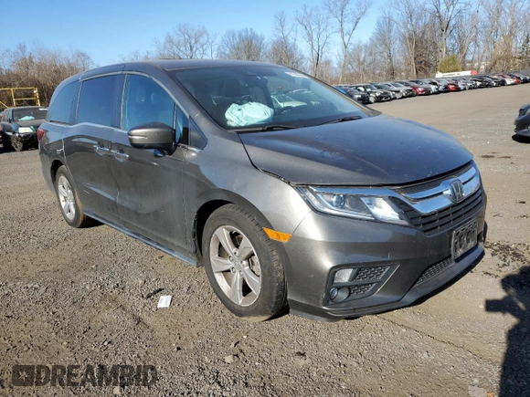 2019 Honda Odyssey EX-L with VIN 5FNRL6H7XKB042232, listed as a Copart auction lot 81066384 with 55,724 mi miles and Salvage Title. Bid and sale history available at carsss.com. Image 4.