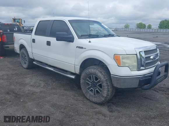 2009 Ford F-150 XL with VIN 1FTPW14V19FA21197, listed as a IAAI auction lot 42196261 with 279,992 mi miles and . Bid and sale history available at DreamBid. Image 1.